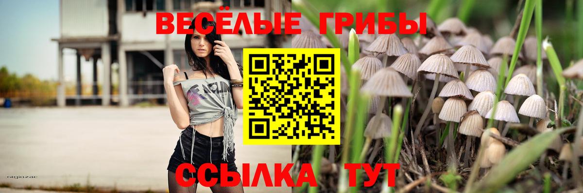 Галлюциногенные грибы Magic Shrooms  дарнет шоп  Домодедово  Псилоцибиновые грибы прущие грибы  Вход с VPN 